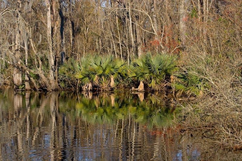 haunted swamp tour louisiana